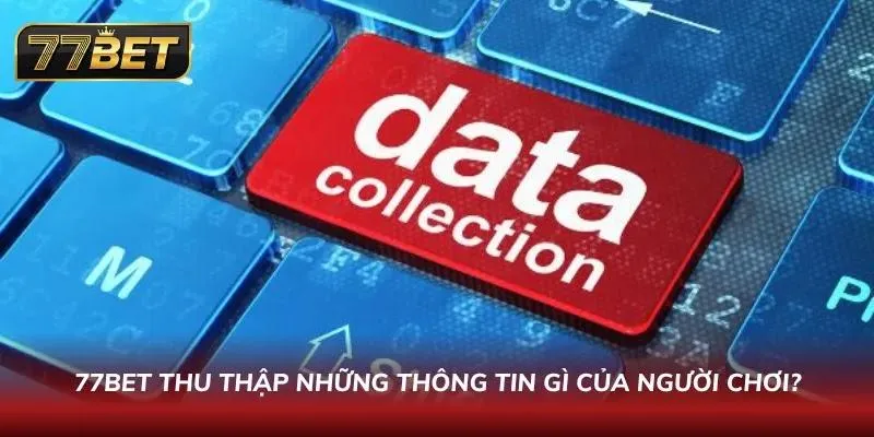 Quá trình thu thập dữ liệu tại trang web