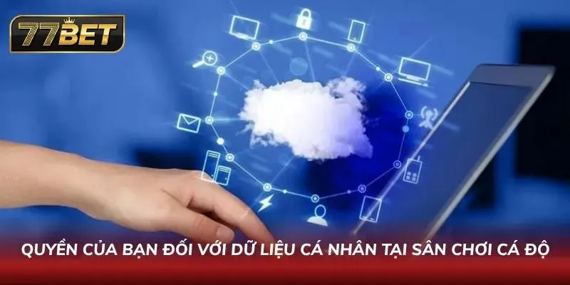 Quyền sử dụng dữ liệu cá nhân