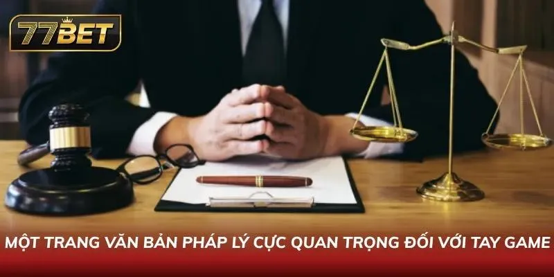 Người chơi đọc văn bản pháp lý được đính kèm tại website