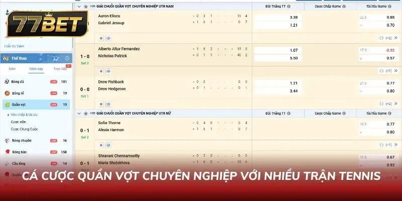 Sảnh cá cược bóng chuyền và các giải đấu thể thao trong nhà trực tuyến